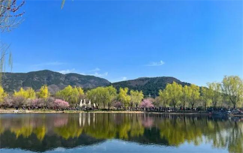北京植物园优美风景