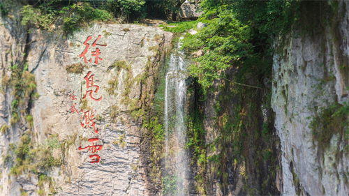 徐凫岩