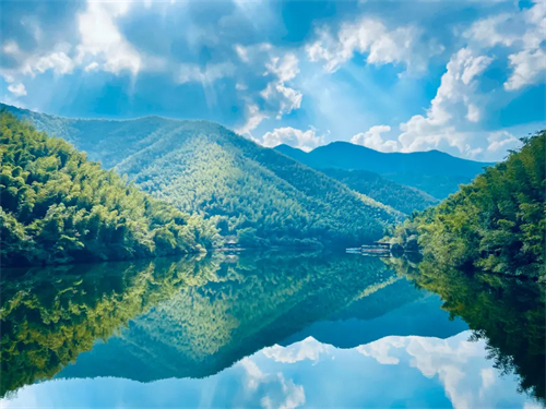 天目湖南山竹海图片